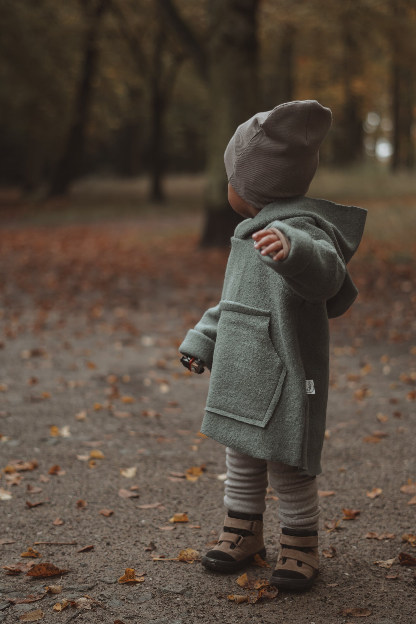 Lazy Hoodie Walk/Fleece