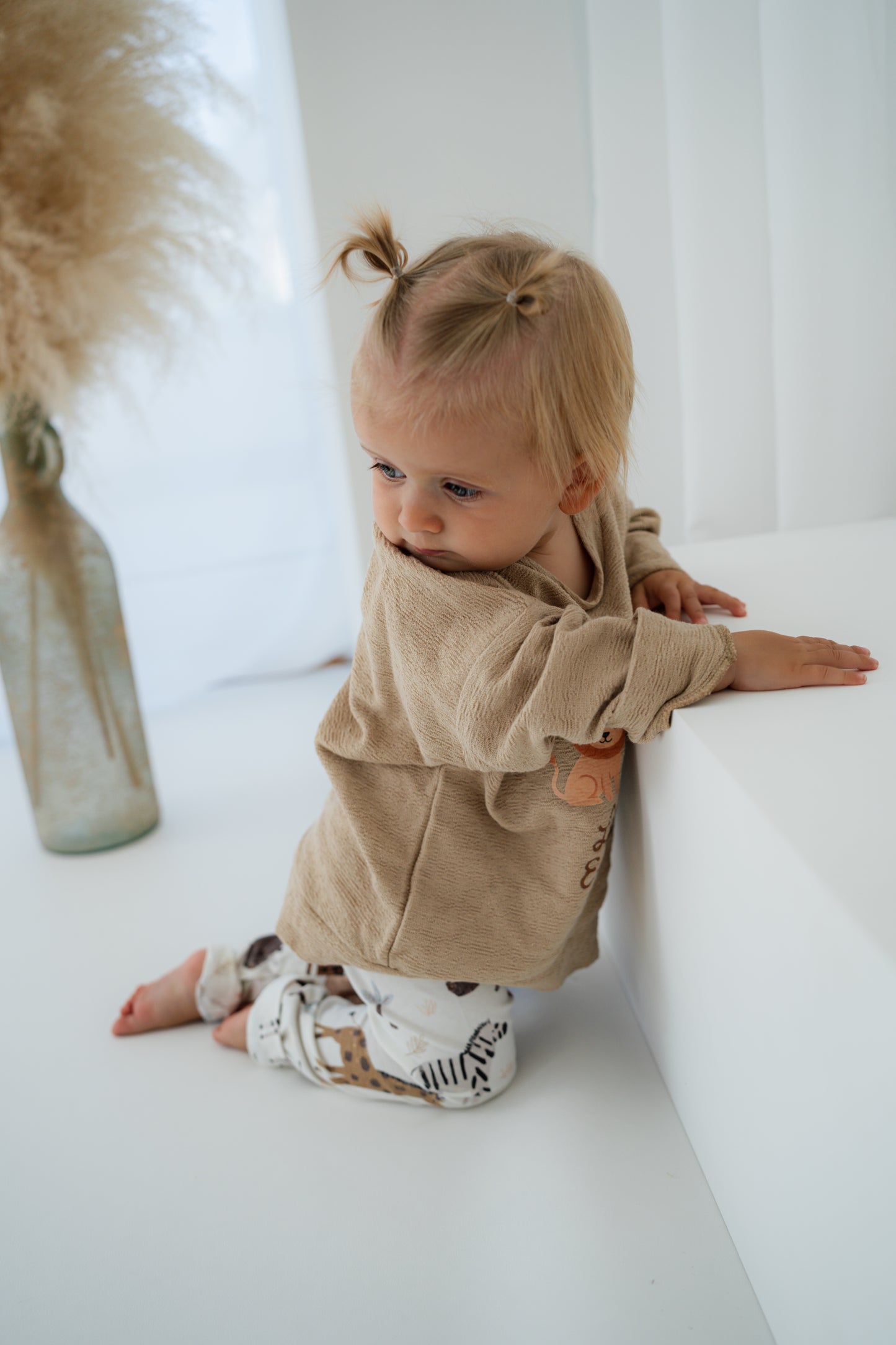 Little Explorer Set🦒🐘🐅