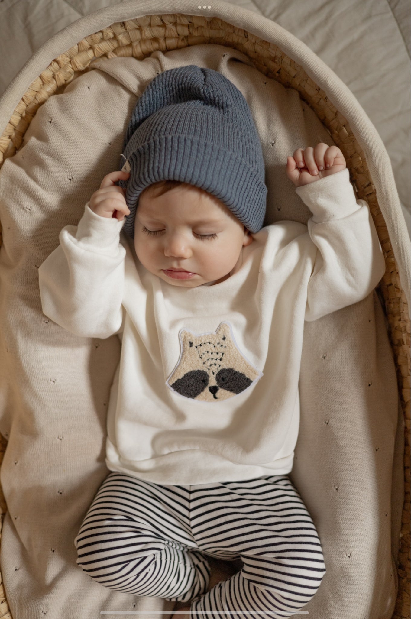 Waschbär Set 🐼 - Sweater + Leggin