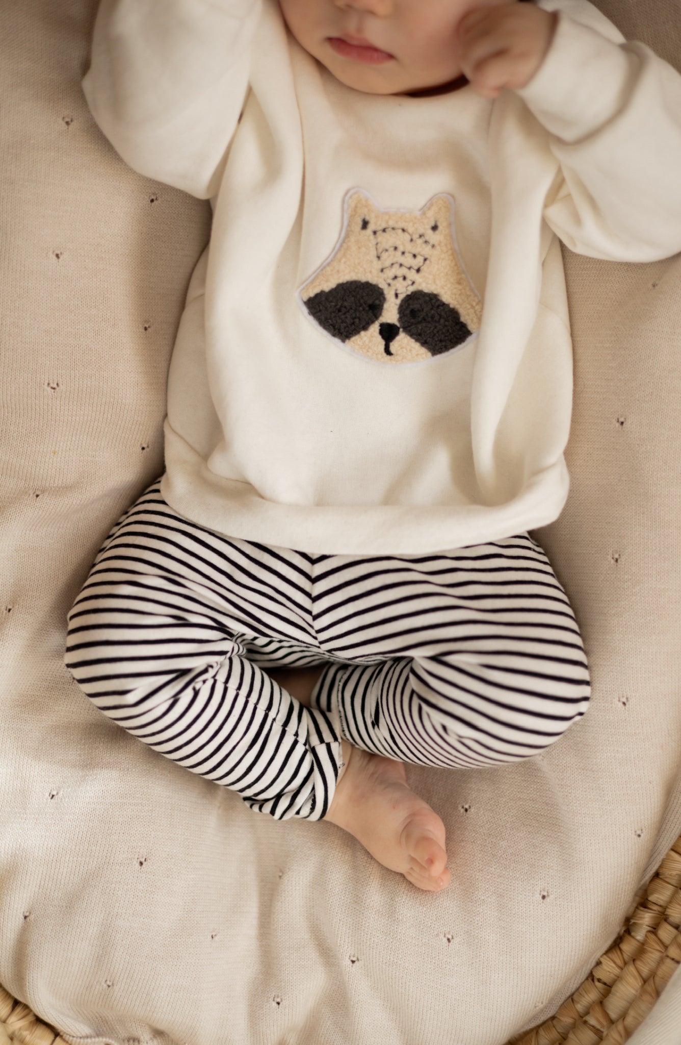 Waschbär Set 🐼 - Sweater + Leggin