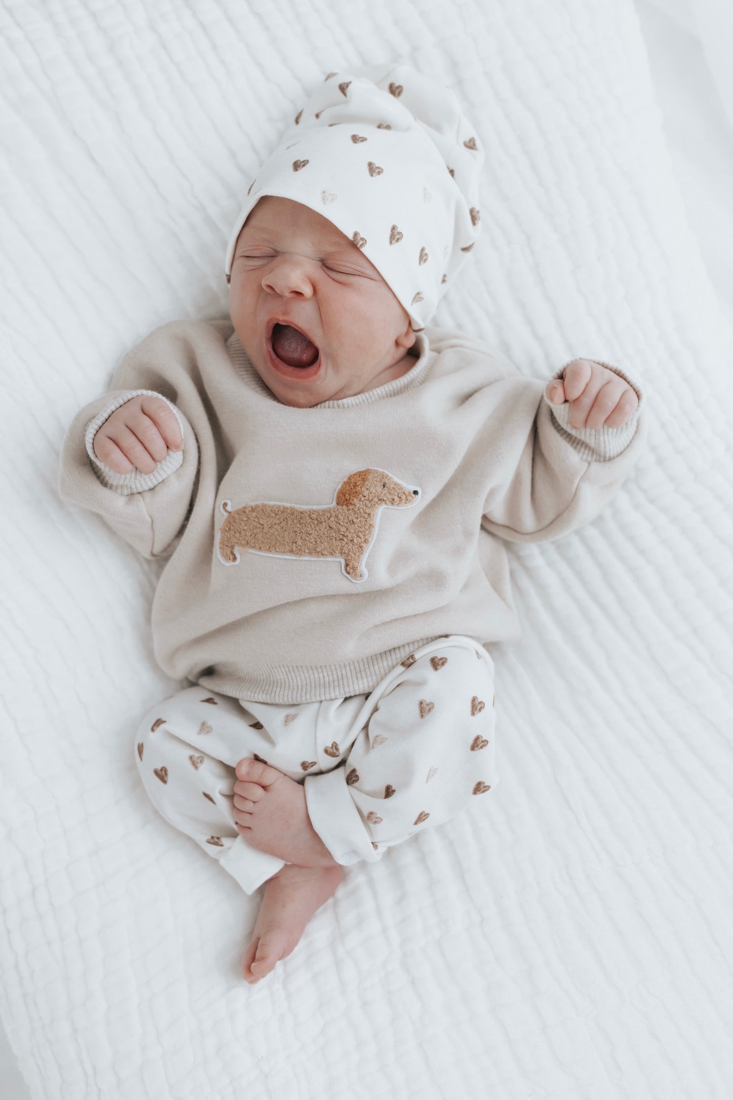 Dackel Set 🐶 - Sweater + Leggin