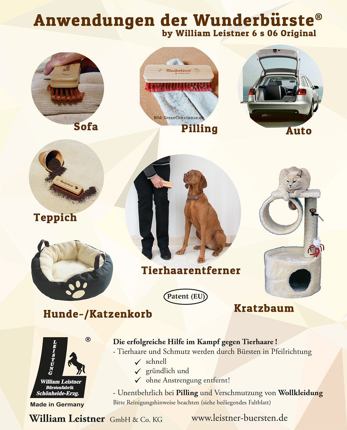 Wunderbürste für Walk