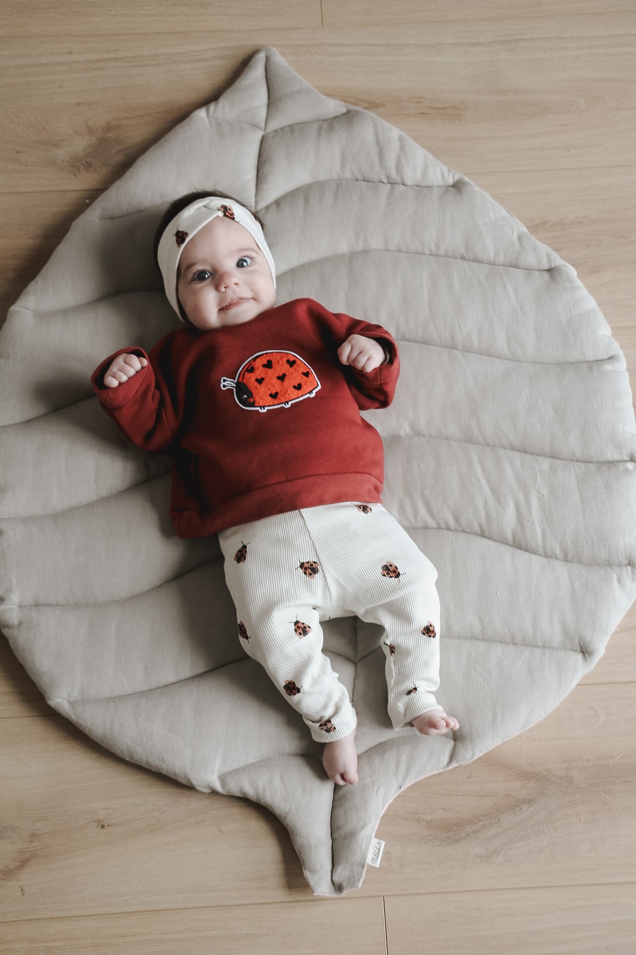 Marienkäfer Set 🐞🤎