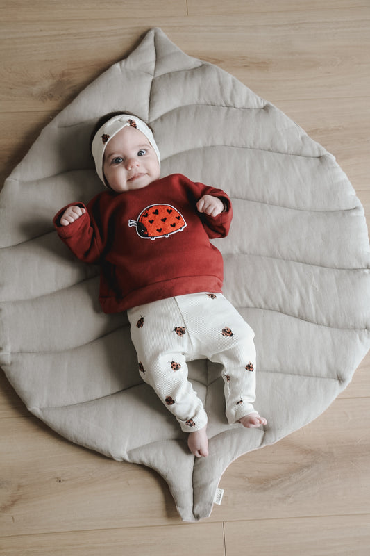 Marienkäfer Set 🐞🤎
