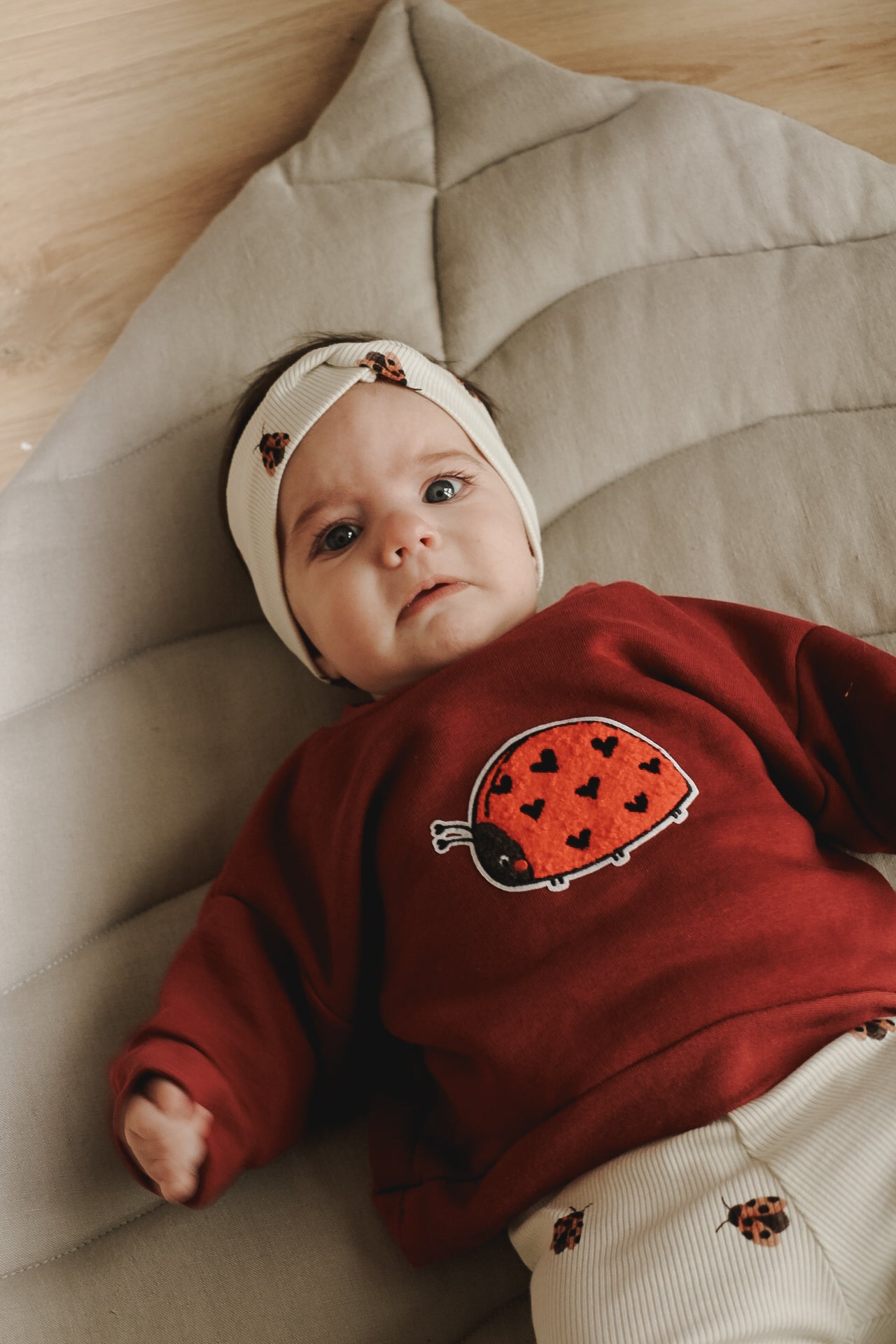 Marienkäfer Set 🐞🤎